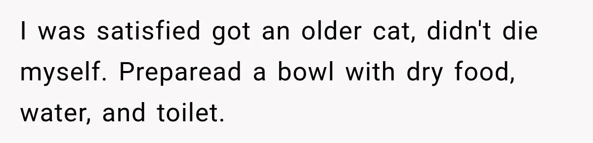 I was satisfied got an older cat, didn't die myself. Preparead a bowl with dry food, water, and toilet.