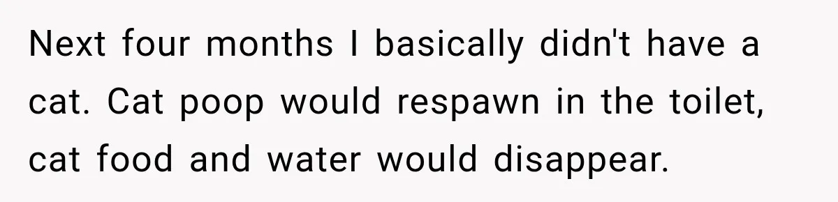 Next four months I basically didn't have a cat. Cat poop would respawn in the toilet, cat food and water would disappear.
