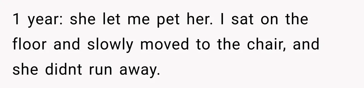 1 year: she let me pet her. I sat on the floor and slowly moved to the chair, and she didnt run away.