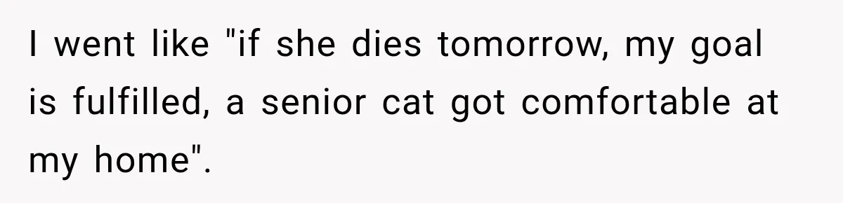 I went like "if she dies tomorrow, my goal is fulfilled, a senior cat got comfortable at my home".