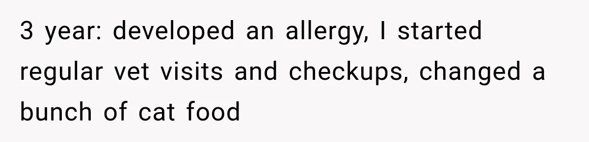 3 year: developed an allergy, I started regular vet visits and checkups, changed a bunch of cat food
