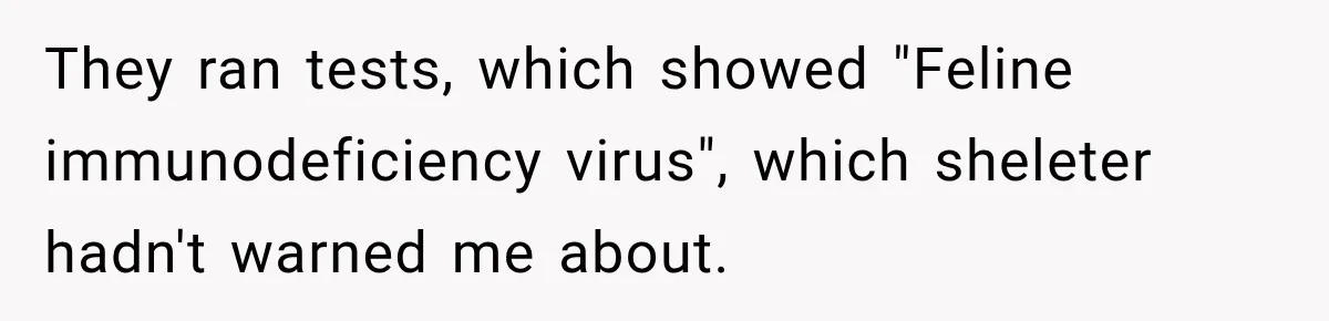 They ran tests, which showed "Feline immunodeficiency virus", which sheleter hadn't warned me about.