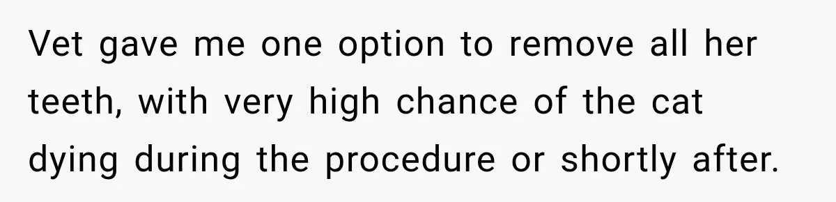 Vet gave me one option to remove all her teeth, with very high chance of the cat dying during the procedure or shortly after.