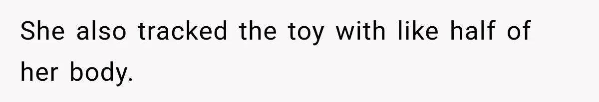 She also tracked the toy with like half of her body.