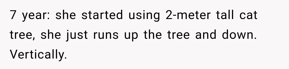 7 year: she started using 2-meter tall cat tree, she just runs up the tree and down. Vertically.