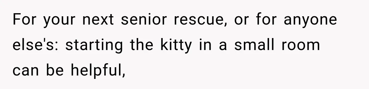 For your next senior rescue, or for anyone else's: starting the kitty in a small room can be helpful,