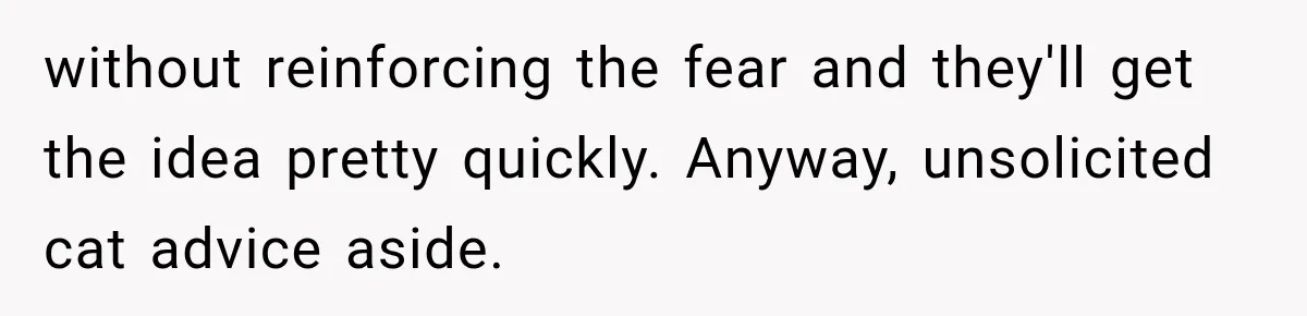 without reinforcing the fear and they'll get the idea pretty quickly. Anyway, unsolicited cat advice aside.