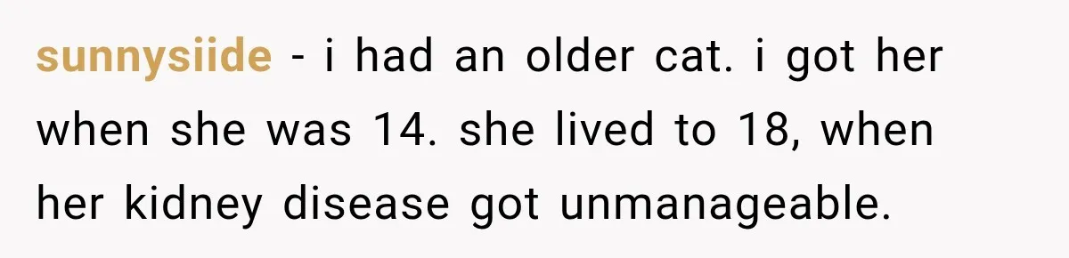 sunnysiide − i had an older cat. i got her when she was 14. she lived to 18, when her kidney disease got unmanageable.