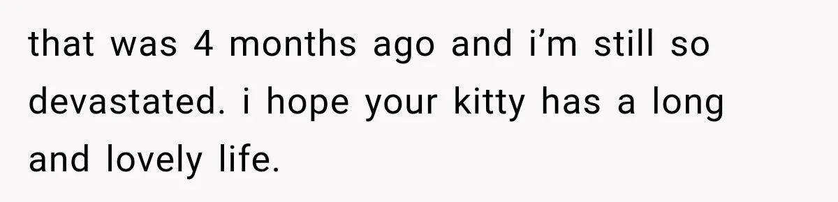 that was 4 months ago and i’m still so devastated. i hope your kitty has a long and lovely life.