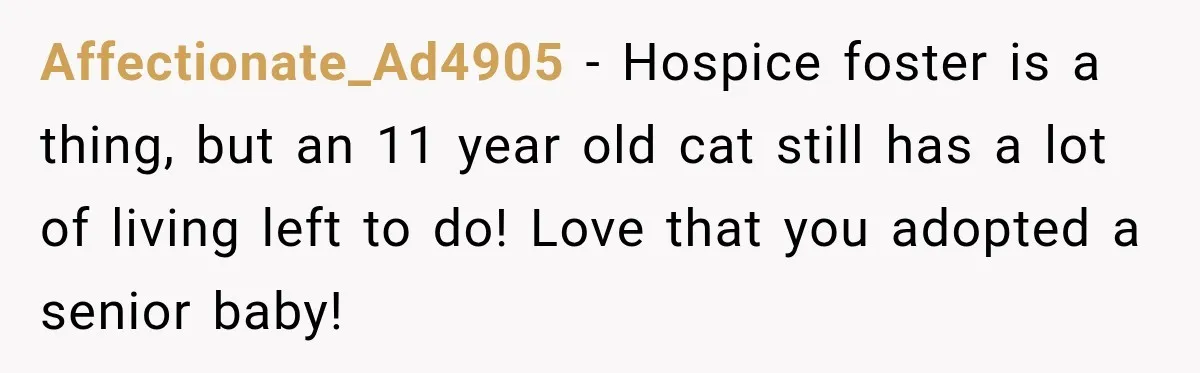 Affectionate_Ad4905 − Hospice foster is a thing, but an 11 year old cat still has a lot of living left to do! Love that you adopted a senior baby!