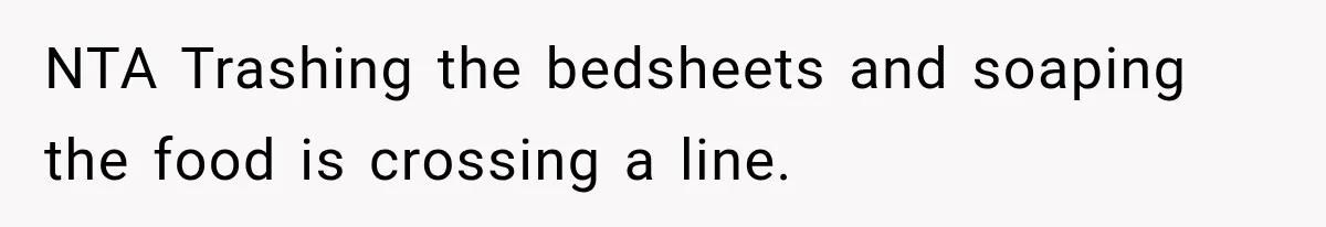 NTA Trashing the bedsheets and soaping the food is crossing a line.