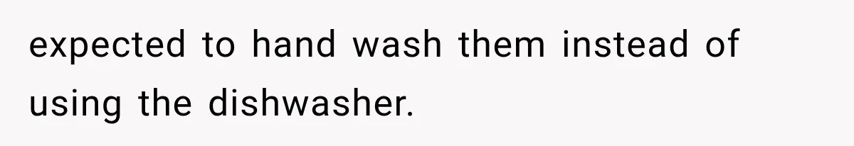 expected to hand wash them instead of using the dishwasher.
