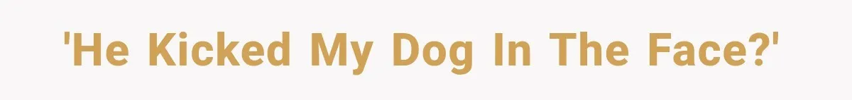 'He kicked my dog in the face?'
