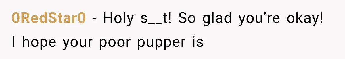0RedStar0 − Holy s__t! So glad you’re okay! I hope your poor pupper is