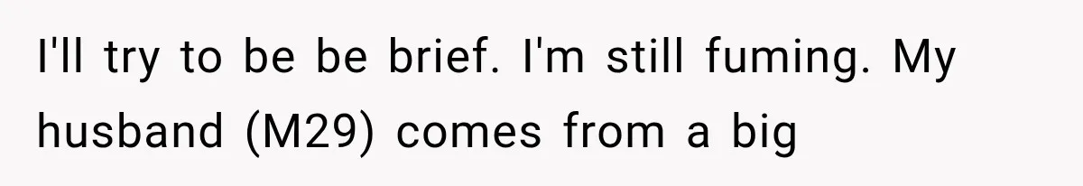 I'll try to be be brief. I'm still fuming. My husband (M29) comes from a big