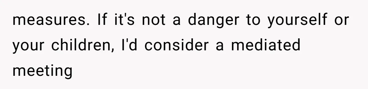 measures. If it's not a danger to yourself or your children, I'd consider a mediated meeting