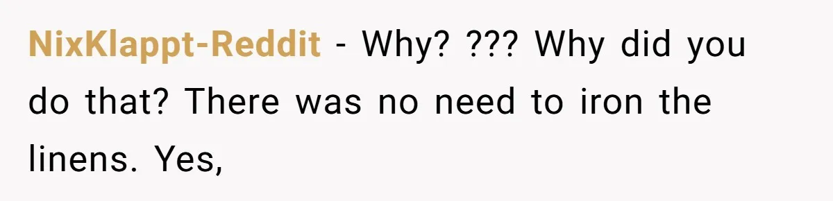 NixKlappt-Reddit − Why? ??? Why did you do that? There was no need to iron the linens. Yes,