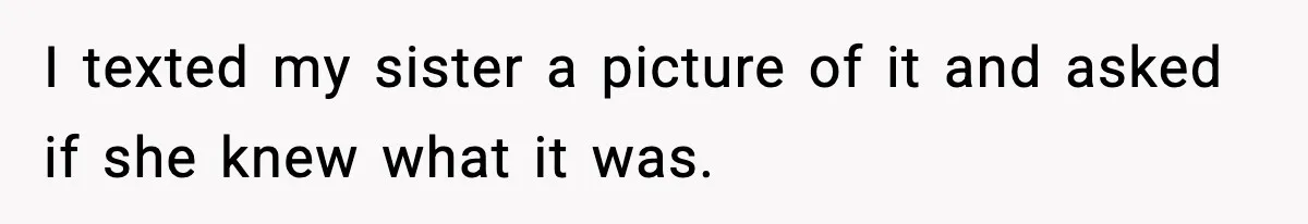 I texted my sister a picture of it and asked if she knew what it was.