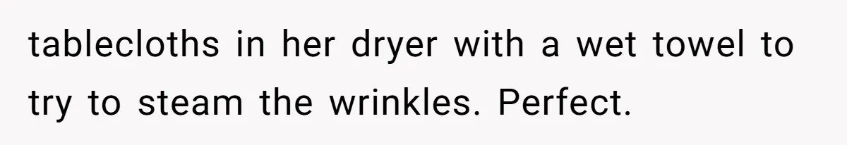 tablecloths in her dryer with a wet towel to try to steam the wrinkles. Perfect.
