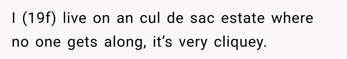 Woman Damaged Her Own Bumper And Somehow Decided It Was Her Neighbor's Fault I (19f) live on an cul de sac estate where no one gets along, it’s very cliquey.