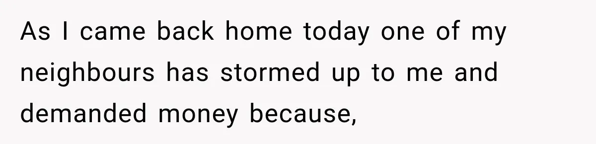 Woman Damaged Her Own Bumper And Somehow Decided It Was Her Neighbor's Fault As I came back home today one of my neighbours has stormed up to me and demanded money because,