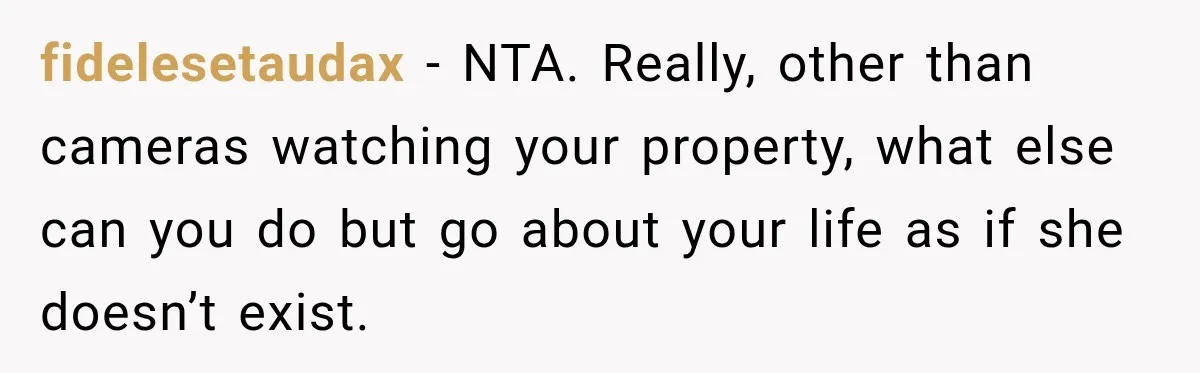 Woman Damaged Her Own Bumper And Somehow Decided It Was Her Neighbor's Fault fidelesetaudax − NTA. Really, other than cameras watching your property, what else can you do but go about your life as if she doesn’t exist.