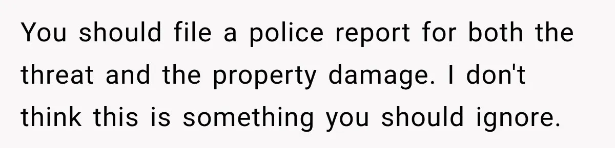 Woman Damaged Her Own Bumper And Somehow Decided It Was Her Neighbor's Fault You should file a police report for both the threat and the property damage. I don't think this is something you should ignore.