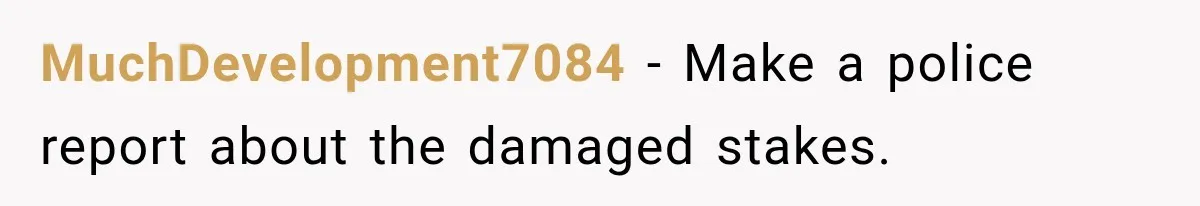 Woman Damaged Her Own Bumper And Somehow Decided It Was Her Neighbor's Fault MuchDevelopment7084 − Make a police report about the damaged stakes.