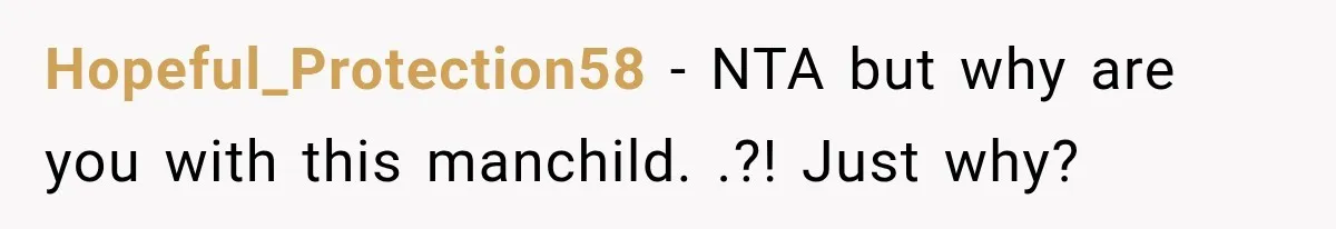 Hopeful_Protection58 − NTA but why are you with this manchild. .?! Just why?