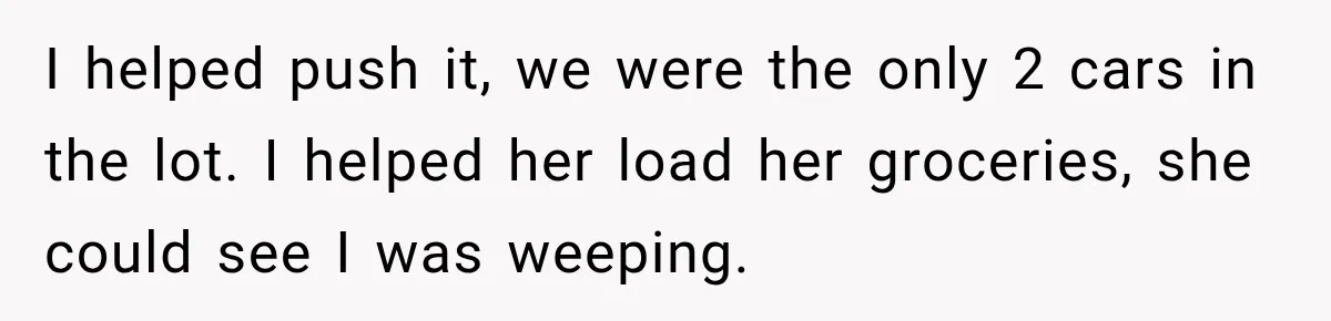 I helped push it, we were the only 2 cars in the lot. I helped her load her groceries, she could see I was weeping.