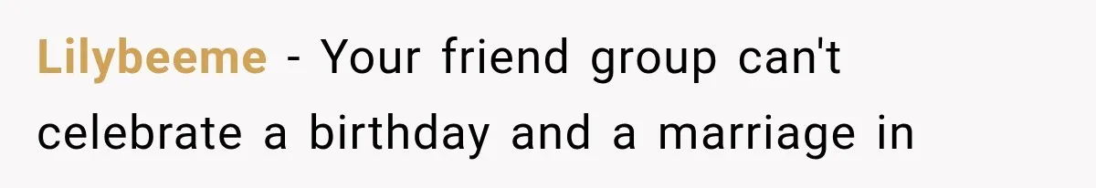 Lilybeeme − Your friend group can't celebrate a birthday and a marriage in