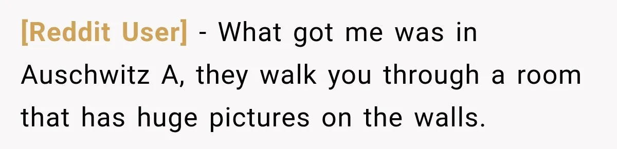 [Reddit User] − What got me was in Auschwitz A, they walk you through a room that has huge pictures on the walls.