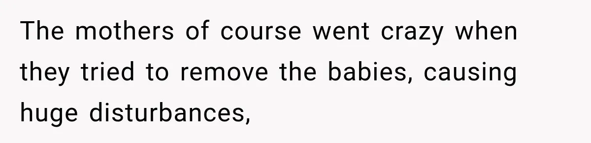 The mothers of course went crazy when they tried to remove the babies, causing huge disturbances,