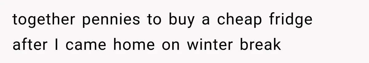 together pennies to buy a cheap fridge after I came home on winter break