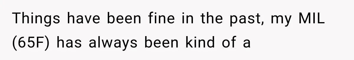 MIL Holds a Months-Long Grudge and Takes It Out on the Bride’s Family at the Wedding Things have been fine in the past, my MIL (65F) has always been kind of a