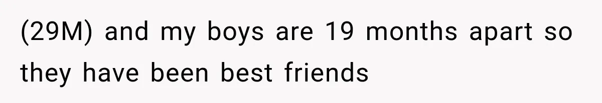 MIL Holds a Months-Long Grudge and Takes It Out on the Bride’s Family at the Wedding (29M) and my boys are 19 months apart so they have been best friends