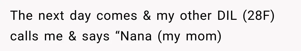MIL Holds a Months-Long Grudge and Takes It Out on the Bride’s Family at the Wedding The next day comes & my other DIL (28F) calls me & says “Nana (my mom)