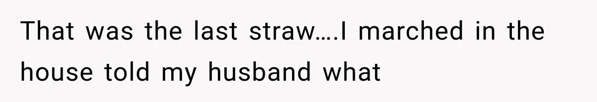 MIL Holds a Months-Long Grudge and Takes It Out on the Bride’s Family at the Wedding That was the last straw….I marched in the house told my husband what