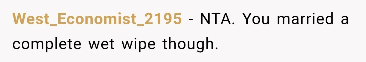 MIL Holds a Months-Long Grudge and Takes It Out on the Bride’s Family at the Wedding West_Economist_2195 − NTA. You married a complete wet wipe though.