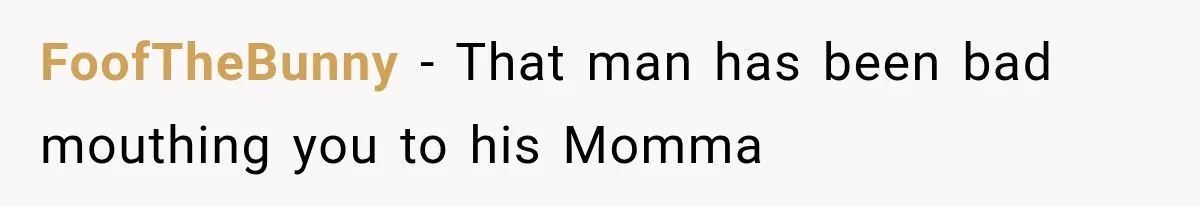 MIL Holds a Months-Long Grudge and Takes It Out on the Bride’s Family at the Wedding FoofTheBunny − That man has been bad mouthing you to his Momma