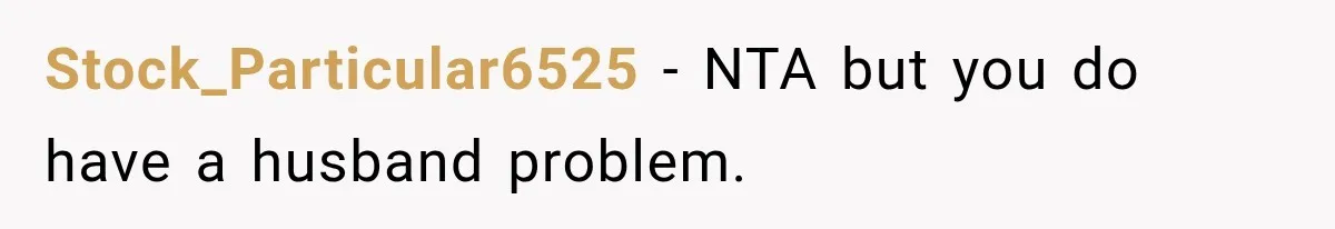 MIL Holds a Months-Long Grudge and Takes It Out on the Bride’s Family at the Wedding Stock_Particular6525 − NTA but you do have a husband problem.