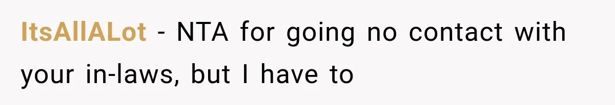 MIL Holds a Months-Long Grudge and Takes It Out on the Bride’s Family at the Wedding ItsAllALot − NTA for going no contact with your in-laws, but I have to