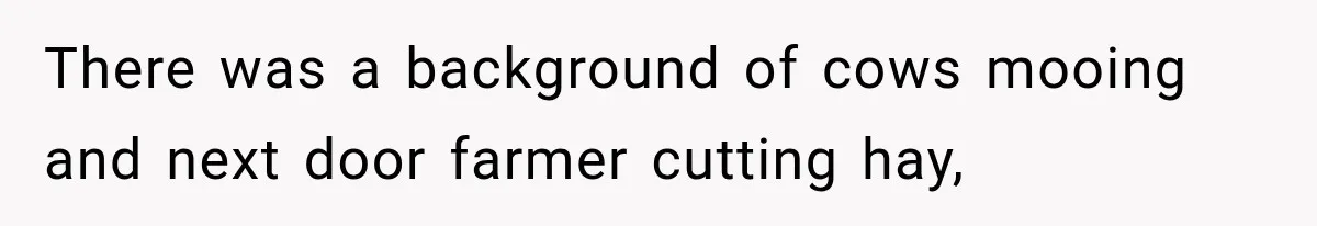 There was a background of cows mooing and next door farmer cutting hay,