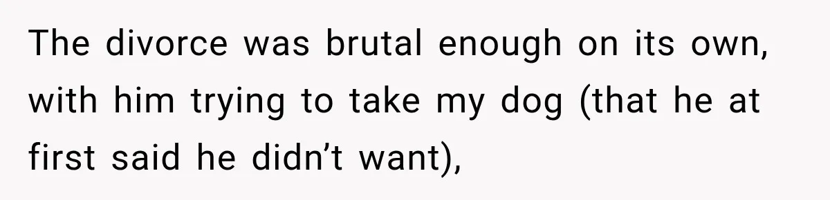 The divorce was brutal enough on its own, with him trying to take my dog (that he at first said he didn’t want),