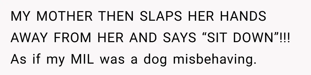 MY MOTHER THEN SLAPS HER HANDS AWAY FROM HER AND SAYS “SIT DOWN”!!! As if my MIL was a dog misbehaving.