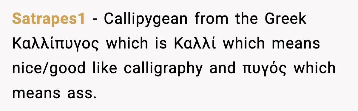 Satrapes1 − Callipygean from the Greek Καλλίπυγος which is Καλλί which means nice/good like calligraphy and πυγός which means ass.