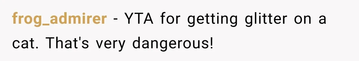 frog_admirer − YTA for getting glitter on a cat. That's very dangerous!