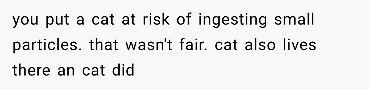 you put a cat at risk of ingesting small particles. that wasn't fair. cat also lives there an cat did