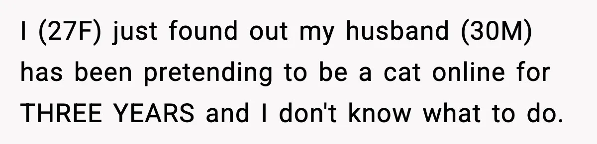 Woman Discovers Her Husband Has Secretly Been A Famous Internet Cat For Three Years I (27F) just found out my husband (30M) has been pretending to be a cat online for THREE YEARS and I don't know what to do.
