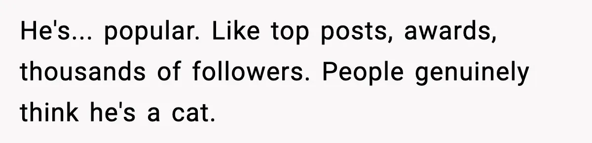 Woman Discovers Her Husband Has Secretly Been A Famous Internet Cat For Three Years He's... popular. Like top posts, awards, thousands of followers. People genuinely think he's a cat.